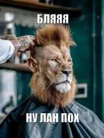 BADkdkzaeSjAAtr95GYmqiCwqh7j6eP5XTbHjyGgkWGjaWV9XG01dVmMUWXkVZuvVs8inZhC9nwhkiV654soll0F1P5d4