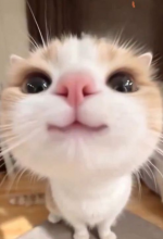 1758482314301.png