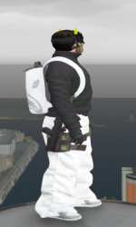 Screenshot 38