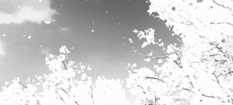 518476930b7f774c3109489a3a893cf2 518476930b7f774c3109489a3a893cf2