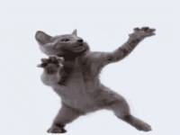 cat-dance.gif