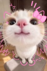 520be7cb548c3076a08c67e4a7eaf057 520be7cb548c3076a08c67e4a7eaf057