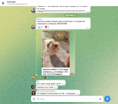 1763335055846 1763335055846