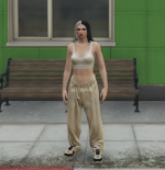 Grand Theft Auto V Screenshot 20251122   15453978