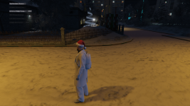 Grand Theft Auto V Screenshot 20260112   08373296