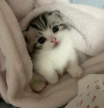 1769946646795 1769946646795