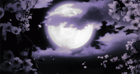 7265-sakura-moon-pfpsgg.gif