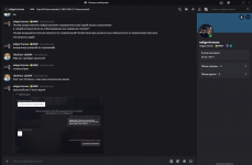 Снимок экрана 2026-02-03 091436.png