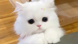 maxresdefault (5).jpg