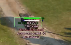 1772019433098