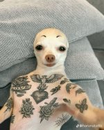 Db3a93221f9f2b7160db829f44d3d74f