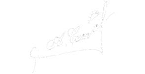  no bg preview carvephotos