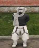 20260325 113408 20260325 113408