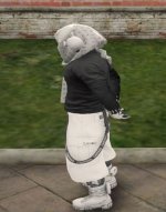 20260325 113424 20260325 113424