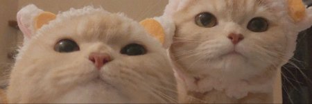 52dca63fd7592895b63facf7bb3a1b19