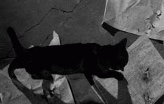 Fe2ffc6cbada6df94c41d74ad17bdabd