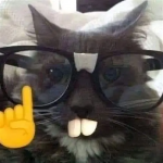 1775578737302 1775578737302