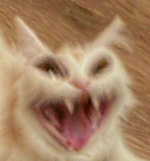 1777274210502