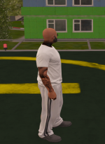 Grand Theft Auto V Screenshot 20260427   13390918