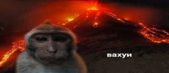 c0e42190f62205909d521c722c69d38a.png