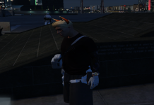 Grand Theft Auto V Screenshot 20260516   16540462