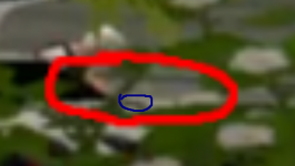 1779651312395
