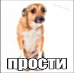 1781435782571