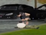 1781952103065 1781952103065