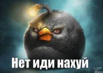 images (16).jpeg