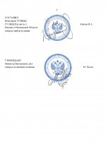 RMRP _ Шаблон УГИБДД МВД России (2)_page-0002.jpg