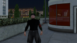 Cropped image 2