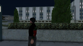 Cropped image