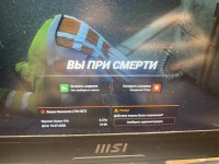 IMG_2276.jpeg