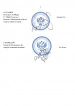 RMRP _ Шаблон УГИБДД МВД России (3)_page-0002.jpg