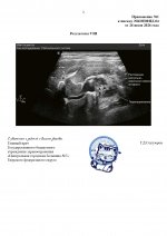 27 page 0002 27 page 0002