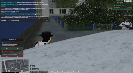 чп1.png