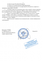 Копия RMRP _ Шаблон УГИБДД МВД России-2.png