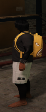 1785528482669