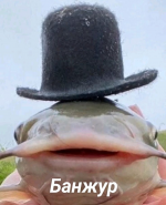 1785535144823