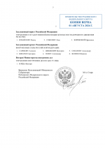 File 007