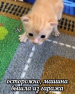 1785962556120