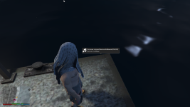 1786123332010 1786123332010