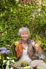 Retired woman working garden 13339 286248