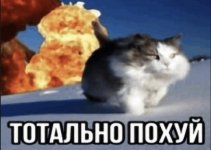   13 8 2026 213027 wwwbingcom