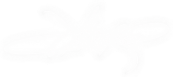 27e3355d 3900 42c5 aea3 fa7d690192fb 27e3355d 3900 42c5 aea3 fa7d690192fb