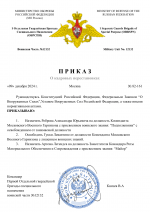 Копия Копия RMRP _ Шаблон УГИБДД МВД России (3)-1.png