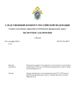        261 809 1docx 1