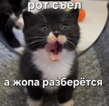 1792145158577