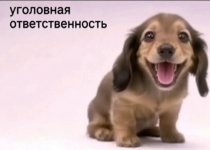 Ed31f3293c0c68f447d9bd534ef84a84