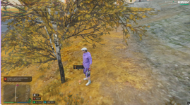 грибы.png